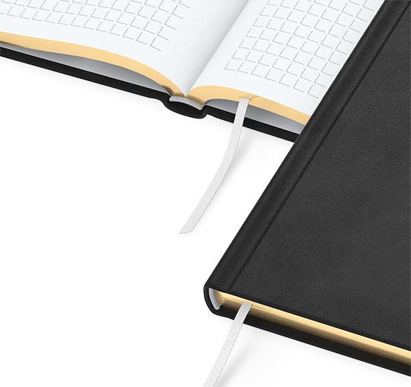 EasyBook Notizbuch Gold/Silver DIN A5